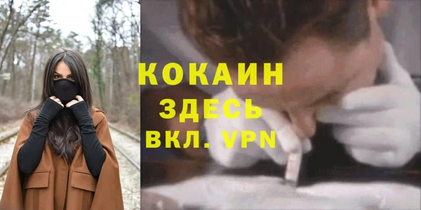 гидра Александровское