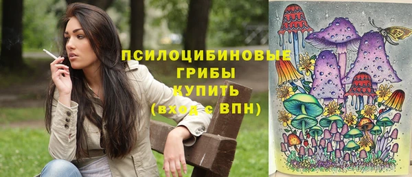 тгк Карталы