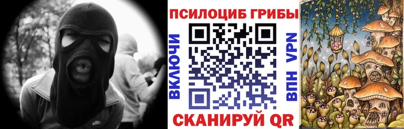 Псилоцибиновые грибы Cubensis  наркошоп  Ишимбай 