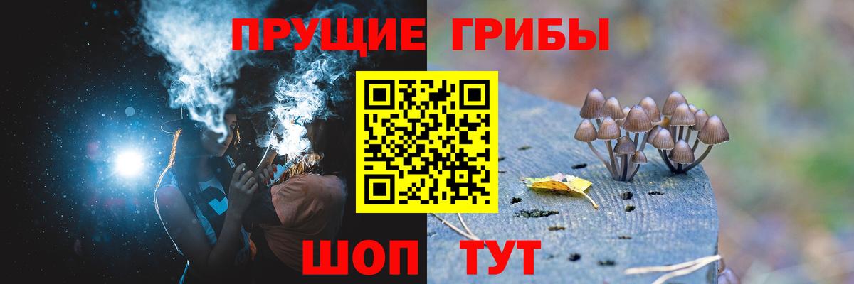Псилоцибиновые грибы MAGIC MUSHROOMS  Галлюциногенные грибы Cubensis  Ишимбай  Вход с VPN 